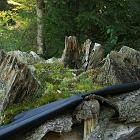 Kniebis 2009 Bild 29